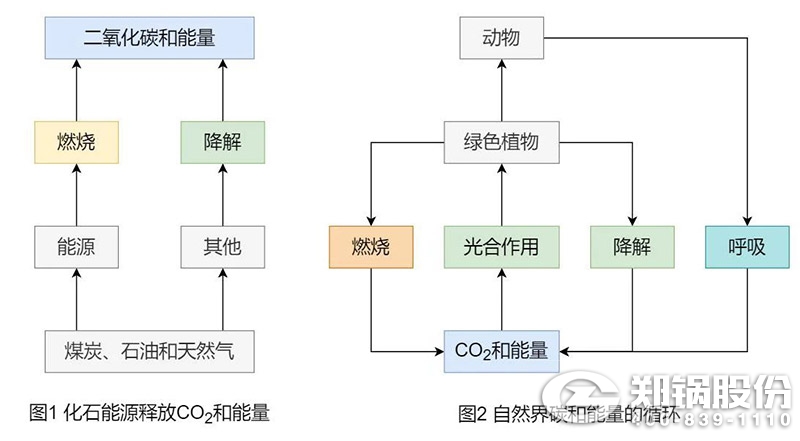 為什么說(shuō)生物質(zhì)能是“零碳”能源1.jpg