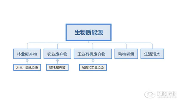 生物質(zhì)鍋爐,生物質(zhì)能源利用,新機遇