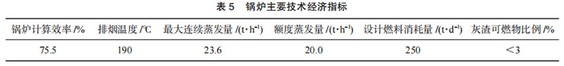 表5-鍋爐主要技術(shù)經(jīng)濟指標.jpg